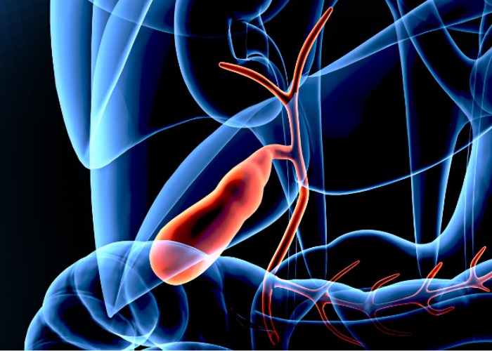 gallbladder